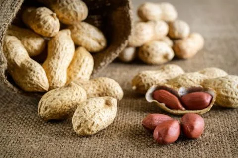 Peeled peanut on well peanuts Stock Photos