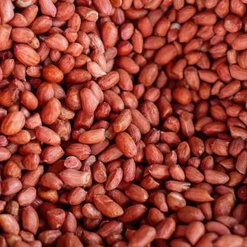 Peeled peanuts for background Stock Photos