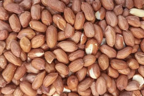 Peeled peanuts as a background Stock Photos