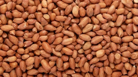 Peeled peanuts, dolly shot. Nuts - background. Stock Footage 144059419