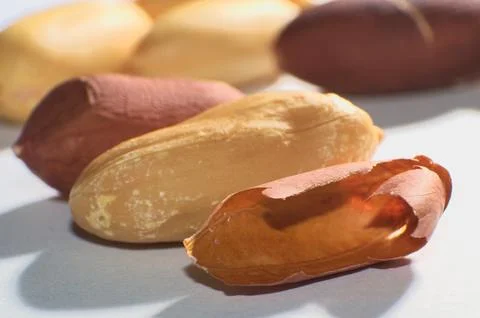 Peeled Peanuts Stock Photos