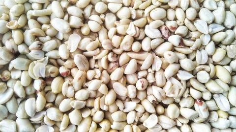 Peeled peanuts Stock Photos