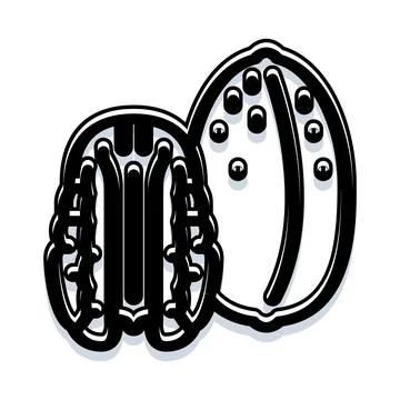 Peeled pecan nut icon black and white Stock Illustration