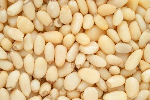 Peeled pine nuts background or texture. Close up, top view. Stock Photos
