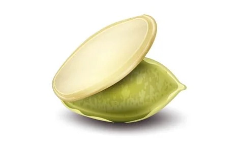 Peeled pumpkin seed on white background. イラスト素材