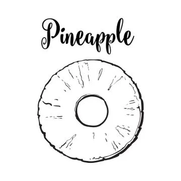 Peeled round pineapple slice with hole in middle, top view 스톡 일러스트