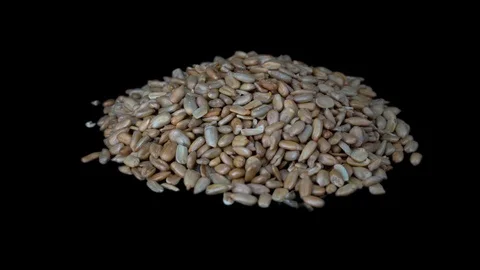 Peeled seeds close-up on a black background. Roasted peeled seeds rotate 360 Stock Footage 117724184