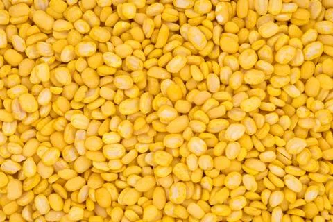 Peeled split mung bean background 写真素材
