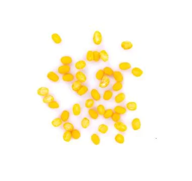 Peeled split mung bean isolated on white background Photos