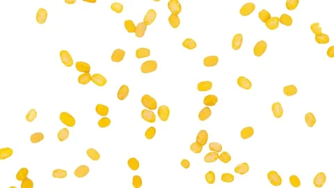 Peeled split mung bean on white background.4k footage Stock Footage 152721628