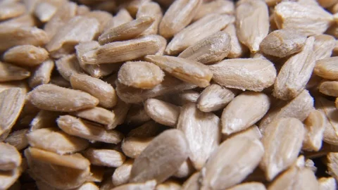 Peeled sunflower seeds rotating macro Stock-Footage 123174792
