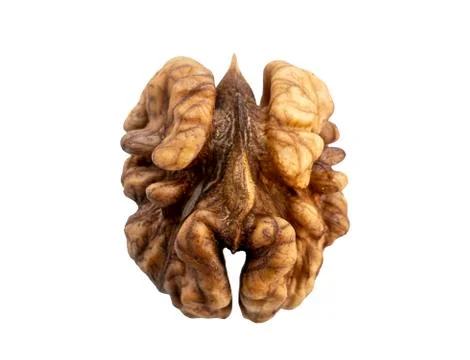 Peeled walnut kernel close-up, isolate on a white background Stock Photos