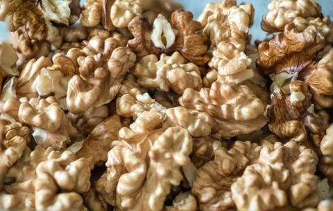 Peeled walnuts stacked in large quantity Stock Photos