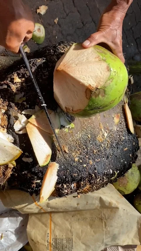 Peeled young coconuts Stock Footage 227171666