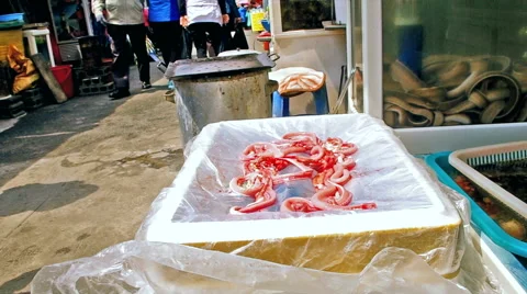 Peeling alive eel fish struggling in Busan Jagalchi Fish Market, South Korea Stock Footage 46965177
