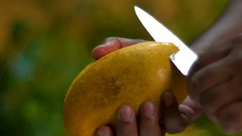 Peeling Alphonso Mango Video stock 122960879