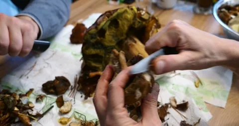Peeling and Cutting Wild Mushroom Close Up Stock Footage 340368096