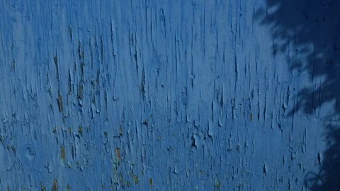 Peeling Blue Paint on Old Weathered Wooden Planks 库存影片 339859673