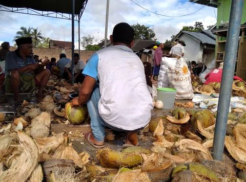 Peeling coconut with comunity Stock Photos