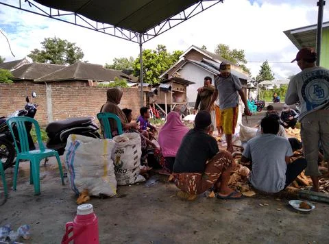 Peeling coconut with comunity Stock Photos