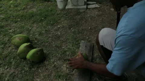Peeling coconut Stock Footage 12366416