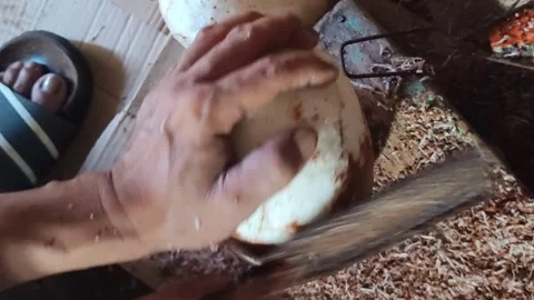Peeling Coconut Husk with Simple Scraper Stock Footage 331968955