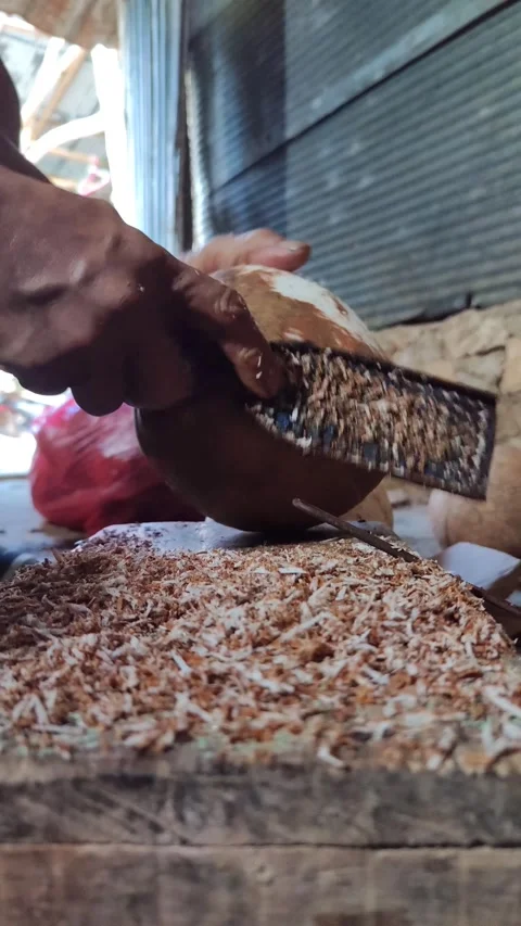 Peeling Coconut Husk with Simple Scraper Stock Footage 331968976