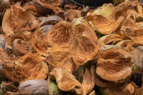 Peeling coconut Stock Photos