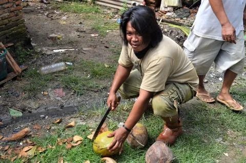 Peeling a coconut Stock Photos