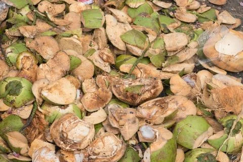 Peeling coconut shell Stock Photos