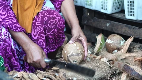 Peeling coconut shells by women Video stock 267716219