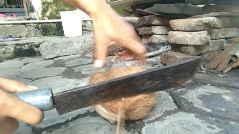 PEELING THE COCONUT SKIN Stock Footage 255960447