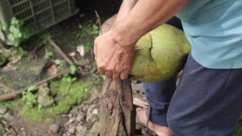 Peeling coconuts without a machine Stock Footage 325688959