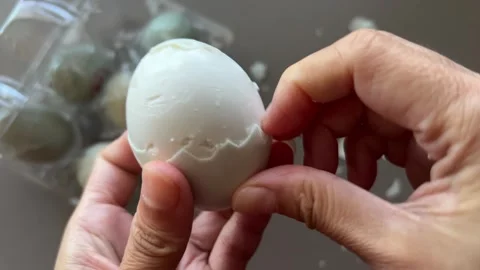 Peeling Cooked Salted Duck Egg Stock Footage 295572758