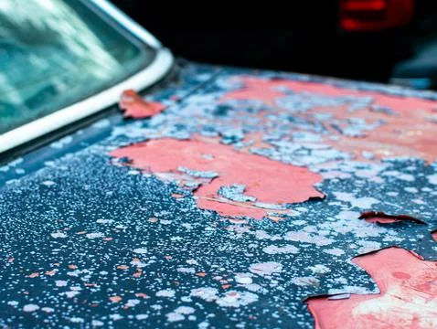 Peeling Flaking Red and Blue Paint on Old Rusty Abandoned Car Roof with Win.. Stock Photos