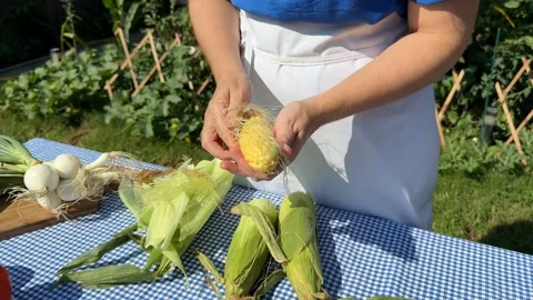 Peeling Fresh Corn Stock Footage 313364016