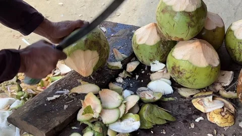 Peeling Fresh Green Coconut With Sharp Knife Close Up Stock Footage 340156304