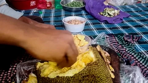 Peeling Jackfruit Fruit by Hand 動画素材 313148071
