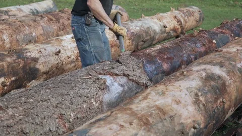 Peeling log with spud Stock Footage 104570613