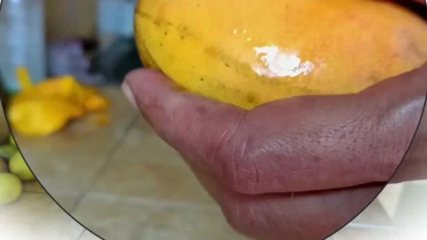 Peeling mango Stock Footage 223359081
