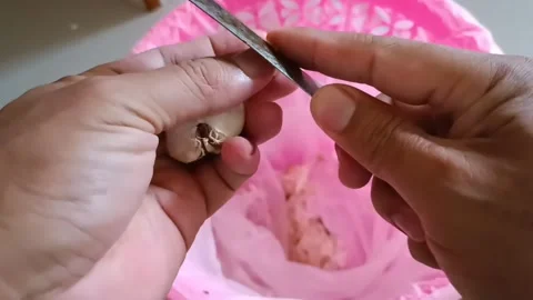 Peeling onions Stock Footage 299715634