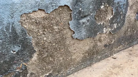Peeling Paint and Cracked Plaster Separating from Wall Stock Footage 324008408