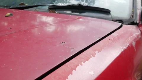 Peeling paint damage on red car hood Stock Footage 319015845