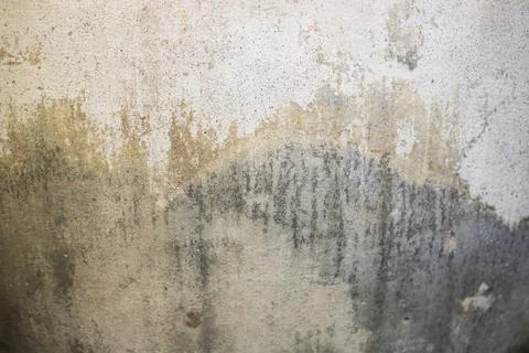 Peeling Paint Due To Wall Moisture Stock Photos