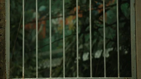 Peeling Paint on the Gate of a Deserted Theme Park - Close Up Stock Footage 283104960