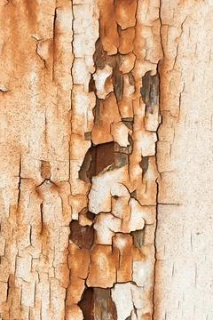 Peeling off paint Foto stock