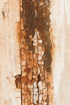 Peeling off paint Stock Photos