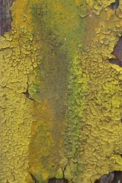 Peeling Paint Texture Stock Photos