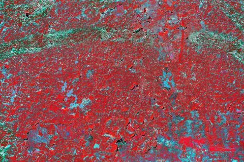 Peeling paint on wall seamless texture. Pattern of rustic grunge material. Ch Stock Illustration