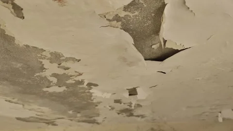 Peeling Paint on a Water Damaged Ceiling, Structural Moisture Damage and Stock Footage 337216467